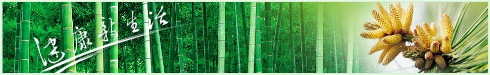 用药安全网简介