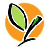 中国用药安全网logo